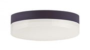 Illuminaire II-Flush Mount