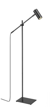 1 Light Floor Lamp