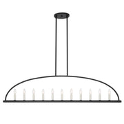 Abbott 11 Light Black Linear Chandelier