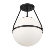1-Light Ceiling Light in Matte Black