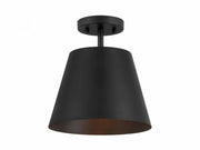 1-Light Ceiling Light in Matte Black