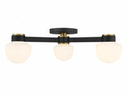 3-Light Ceiling Light in Matte Black with Natural Brass